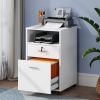 Rolling 2-Drawer Mobile File Cabinet Printer Stand Office Cart on Wheels